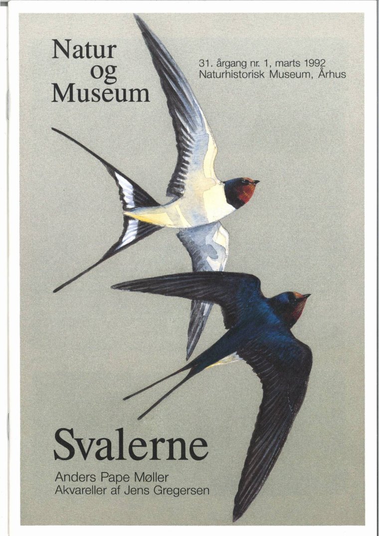 Svalerne